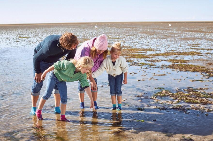 Startseite_Beachies_Wattwnderung_Bild_3er_Spalte